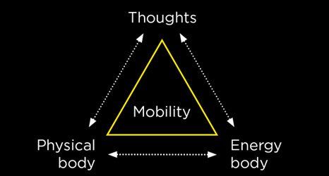 3 mobility factors