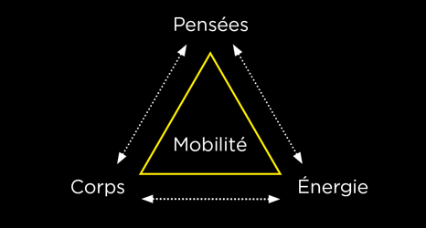 3 facteurs de mobilité