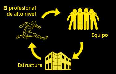 Organización general